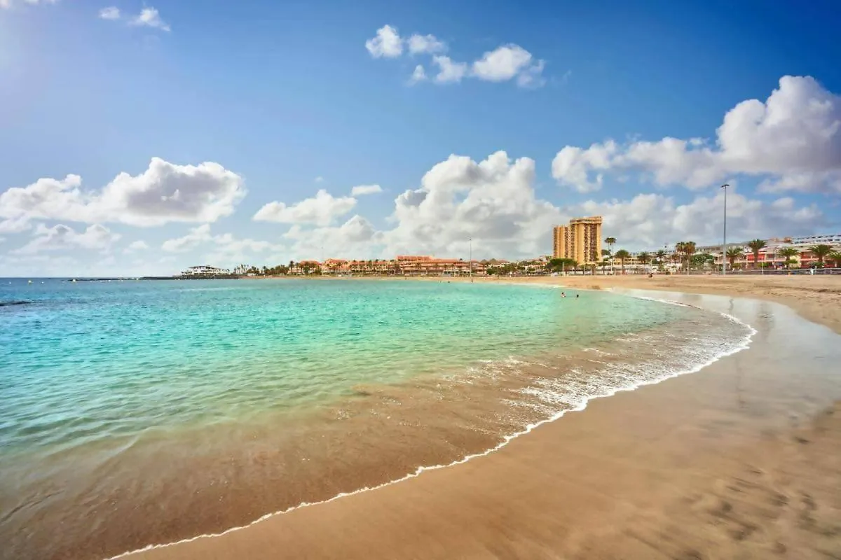 Las Vistas Cristianos By Welcome Tenerife Los Cristianos  Spain